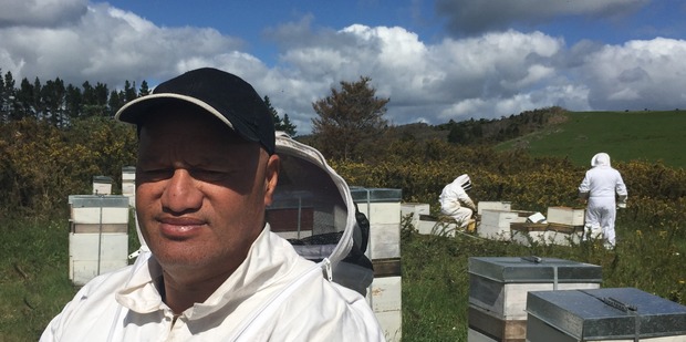 Jim Croft was a supervisor in a manuka honey industry course run in Kaikohe this year. Photo / Simon Collins