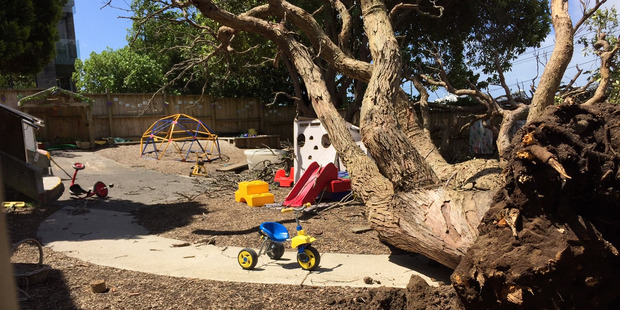 An upturned tree at the Discoveries Educare facility on Gillies Ave, Newmarket. Photo / Cherie Howie