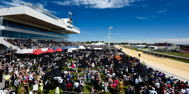 The crowd was on their best behaviour at Trotting Cup Day at Addington Raceway Photo / Photosport