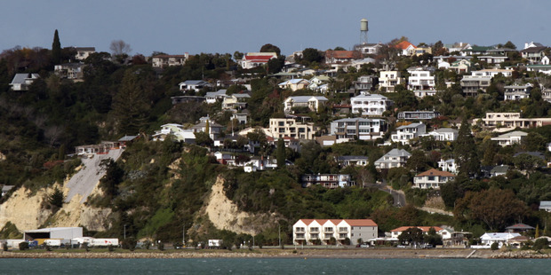 The cocker spaniel went over the top of Bluff Hill in Napier on Tuesday and wasn't found until Saturday morning. Photo/ Duncan Brown