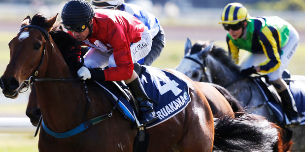TOP CLASS: Volkstok'n'barrell will be centre of attention at Tauranga Races on Saturday. PHOTO/FILE