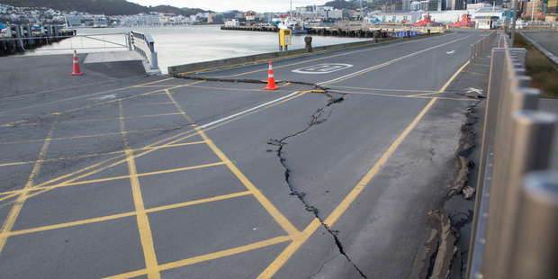 Damage caused by Monday's 7.8 earthquake at CentrePort in Wellington. Photo / Mark Mitchell