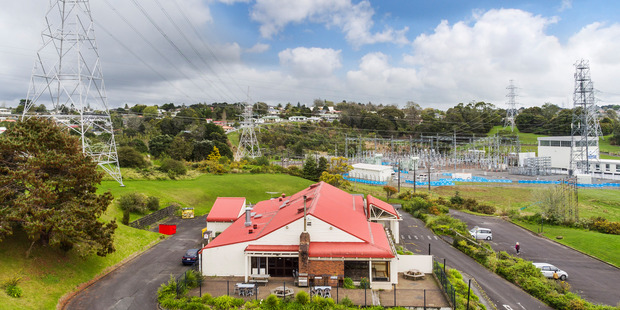 The Mt Roskill by-election was triggered when Labour's Phil Goff, who previously held the seat, was elected Mayor of Auckland.