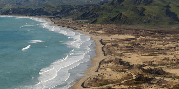 DISORGANISED: Many Ocean Beach residents panicked after this morning's major earthquake. PHOTO FILE