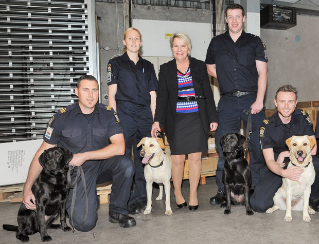 Paul Ferguson and Que; Kat Goddard and Casey; Hon Nicky Wagner; Daniel Evans and Flo; Kris Wetherill and Latte.