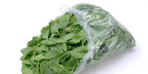 Research is showing that green leafy salads containing lettuce and spinach are subject to colonisation by food poisoning bacteria. Photo / Getty
