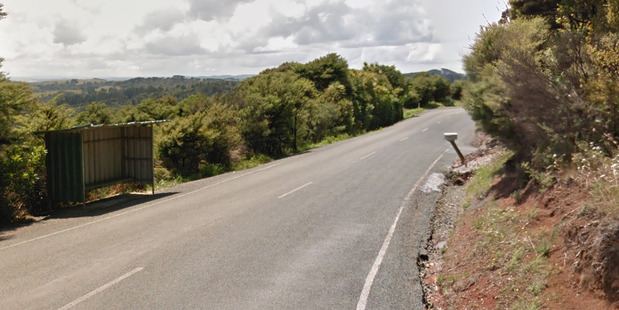 The man approached the girl at about 8.30am while she waited for a school bus on Wairere Road. Photo / Suppleid via Google Streetview