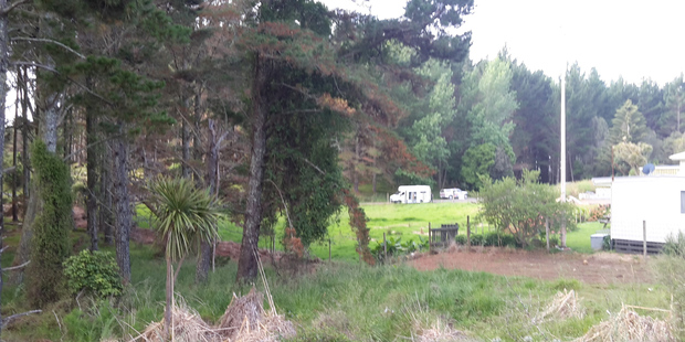 Police have set up a staging area near the NZDF base on Trig Rd after a boat has capsized in the Kaipara Harbour with multiple fatalities. Photo / Matthew Theunissen