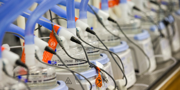Fisher & Paykel Healthcare, the medical device maker, increased first-half profit 26 per cent and widened its margins. Photo / Dean Purcell