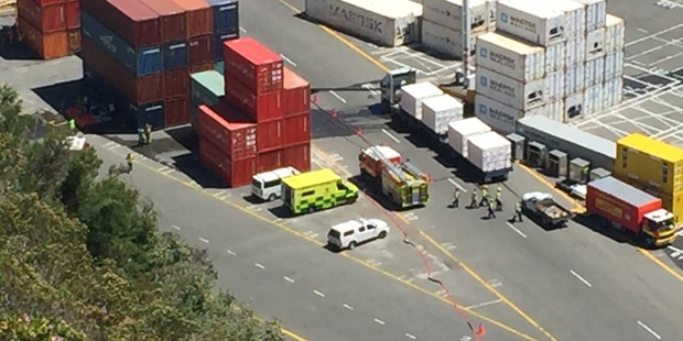 SPILL: Emergency services at the scene of a chemical spill at Napier Port. PHOTO WARREN BUCKLAND