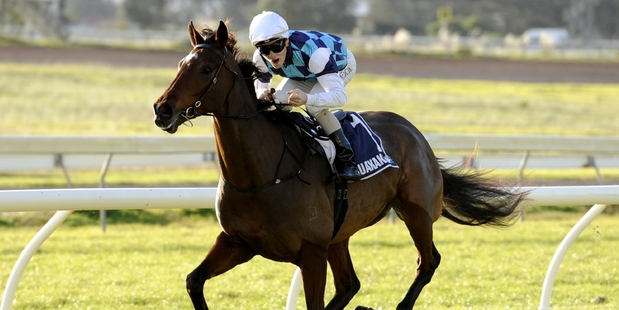 Hasselhoof's trip south has been abandoned after he pulled a plate and stood on it overnight Monday.