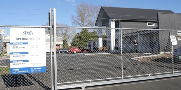 Waikato SPCA has today shut its doors following financial woes. Photo / Danielle Nicholson