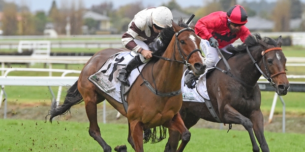 Aide Memoire (left) tackles the Captain Cook on Saturday. Photo / Race Images
