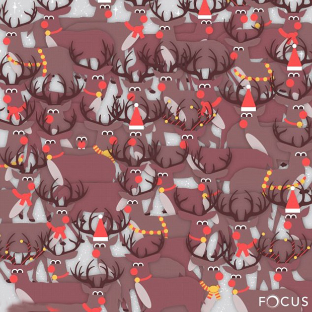 The holidays are coming and what better way to get in the festive spirit than with an eye-boggling Christmas-themed brain teaser? Photo / Focus Clinics
