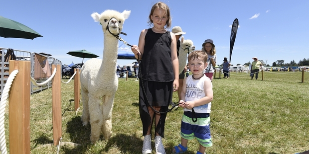Sydney Pope, 10 and Bentley Malcolm, 1, can't get enough of Colenso, the friendly, furry alpaca. Photo / George Novak