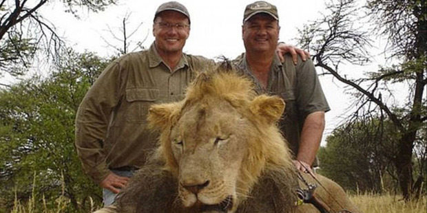 Small rare species are no less at risk than Cecil the lion. Photo / Facebook