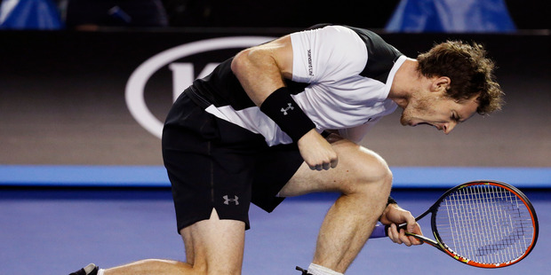 Andy Murray of Britain celebrates after winning a point against Milos Raonic of Canada during their semifinal match at the Australian Open. Photo / AP.