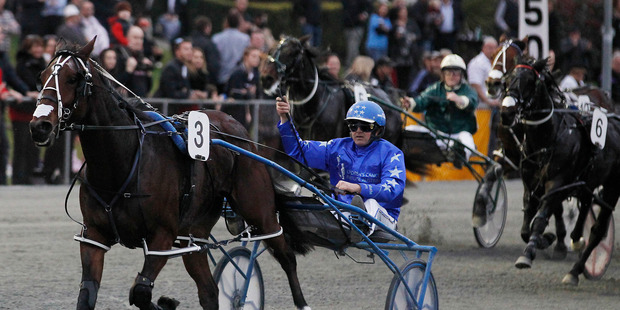 Smolda. File photo / Christine Cornege