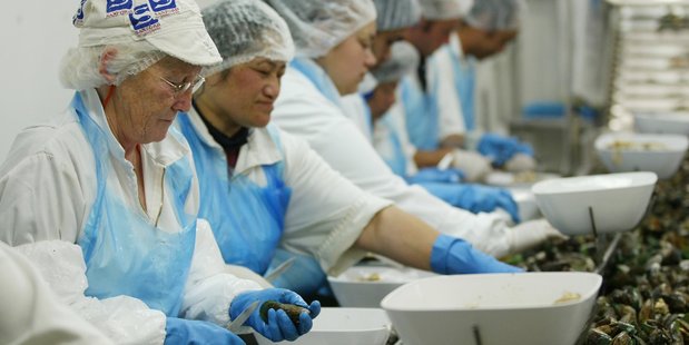 Sealord has been reducing the size of its workforce as it contends with lower fish prices, and this month announced plans to cut a further 60 jobs from its Nelson factory. Photo / Greg Bowker