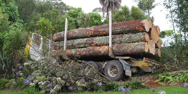 The truck came to rest in a Koropewa Rd garden. Photo / Peter de Graaf