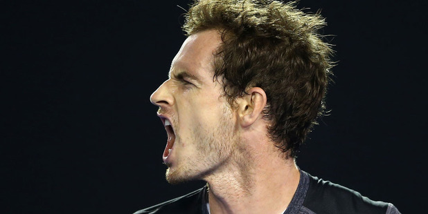 Andy Murray will face David Ferrer for a spot in the semifinals. Photo / Getty