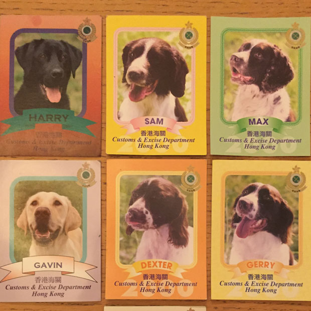 Collectible canine cards featuring the drug detection team at Hong Kong Airport.