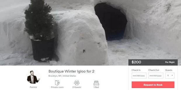 The listing described the rental as a "Boutique Winter Igloo for 2". Photo / Airbnb