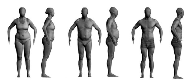 Rank the bodies in order of fatness.