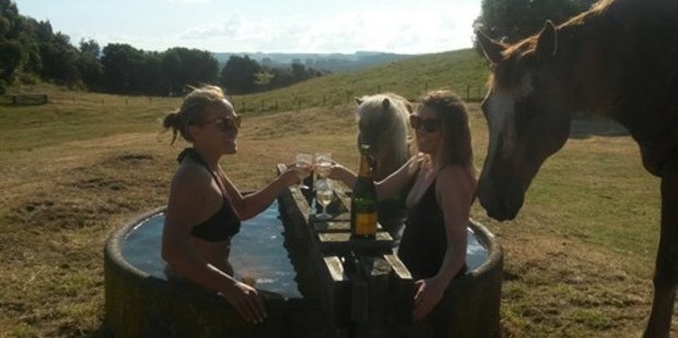 Ladies at lunch in a trough.