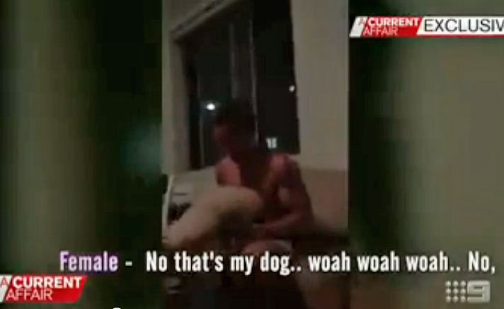 Mitchell Pearce simulates sex with a dog. Photo / YouTube