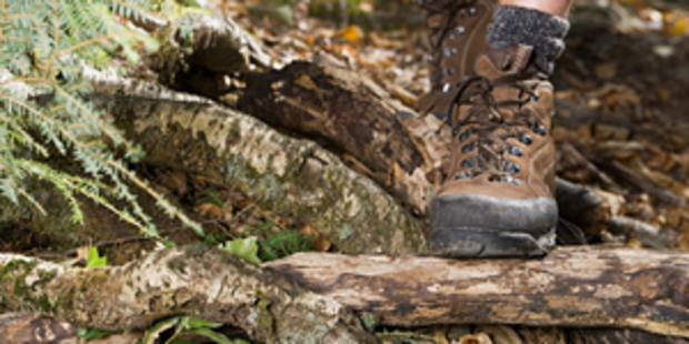 A rescue operation is under way for an injured man who went missing on a walk yesterday. File photo