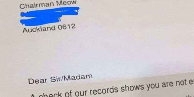 A letter addressed to Tiana Lyes' cat Chairman Meow was sent by the Electoral Commission asking the feline to sign up to vote. Photo / Twitter, @Tweet_Ti
