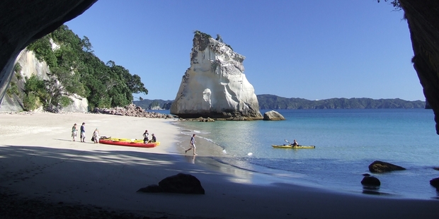 Kayak is the best way to explore the stunning cliffs and wildlife of the Coromandel coastline.