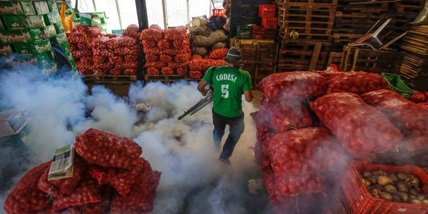 Zika is transmitted through sex when one partner has caught the virus in affected areas around the world. Photo / AP
