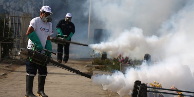 New Zealand Olympic Committee officials will be getting around the country in the next month to brief athletes on the risks associated with the outbreak of the Zika virus in South America. Photo / AP