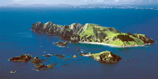 View of Motukawaiti Island in the Bay of Islands.