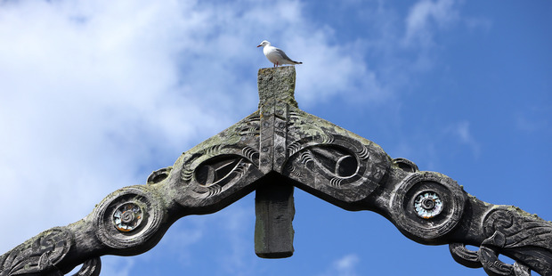 The assets of the top 10 Maori businesses are closing in on $5 billion. Photo / Michael Cunningham