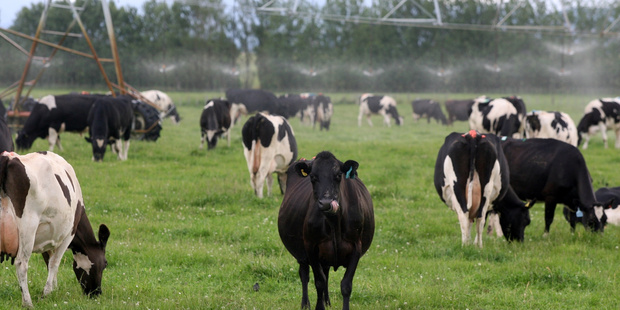 Latin America could prove to be a big market for New Zealand's agricultural technology and machinery.