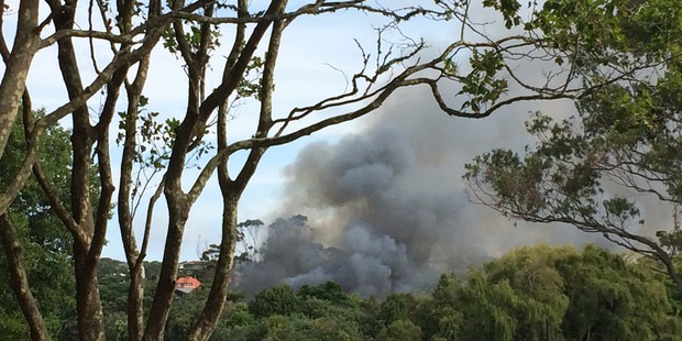 The fire broke out at a house in Long Bay. Photo / James Dixon