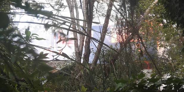 Flames can be seen through the trees. Photo / James Dixon