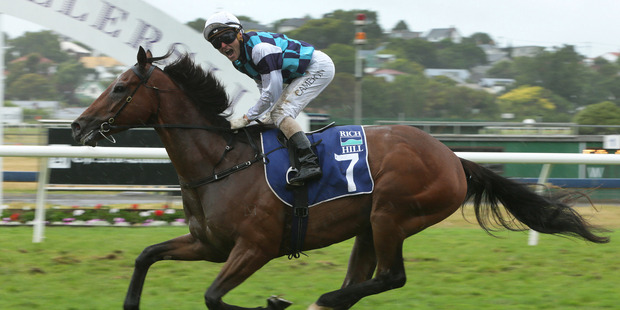 Hasselhoof wins the Rich Hill Mile on a slow surface at Ellerslie on New Year's Day. Photo / Trish Dunell