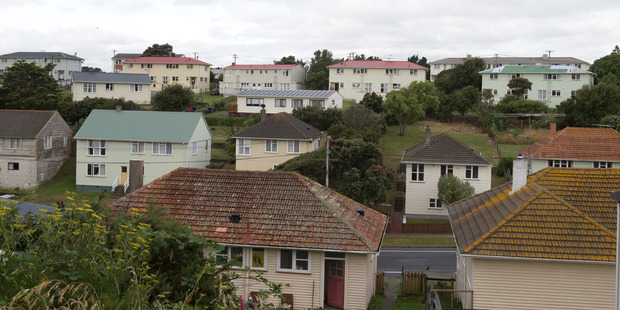 Houses in the predominantly state housing suburb of Cannons Creek, Porirua. Photo / Mark Mitchell