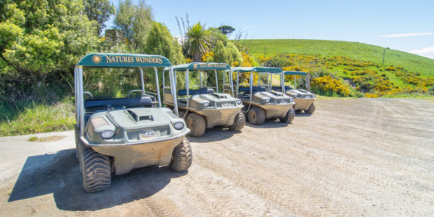 Argo eight-wheel vehicles at Natures Wonders at Taiaroa Head on the Otago Peninsula. Photo Supplied