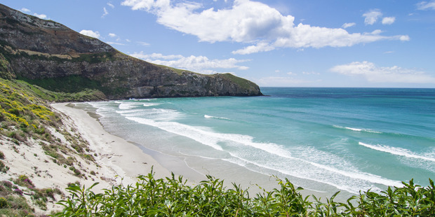 Penguin Beach at Natures Wonders. Photo / Supplied