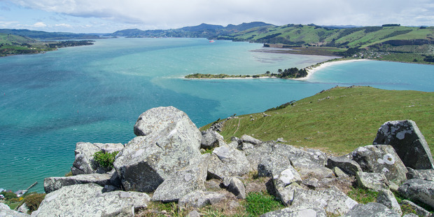 View towards Dunedin Harbour from Natures Wonders at Taiaroa Head in Otago. Photo / Supplied
