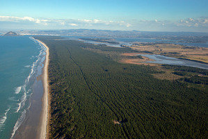 Aerial view of Matakana Island.