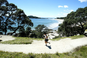 Base track, Mauao.