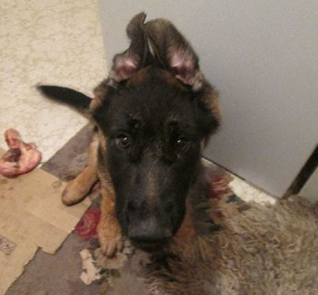 Bruza contracted tetanus when he was three months old.