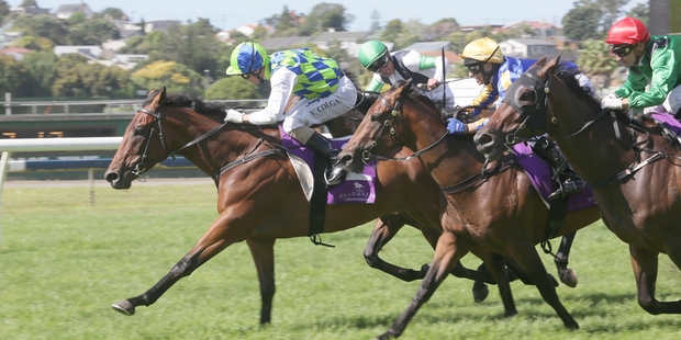 Vinnie Colgan gets Rangipo home in the Avondale Guineas. Photo / TRISH DUNELL