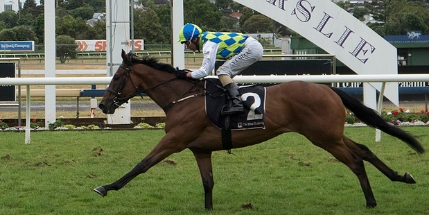 Rangipo looks the best each-way bet in this afternoon's Avondale Guineas. Photo / Steven McNichol